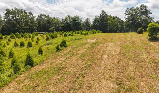 DJI_20250618142756_0455_D