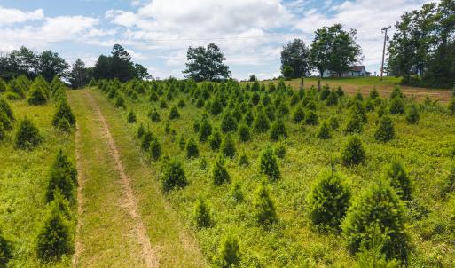 DJI_20250618142047_0438_D