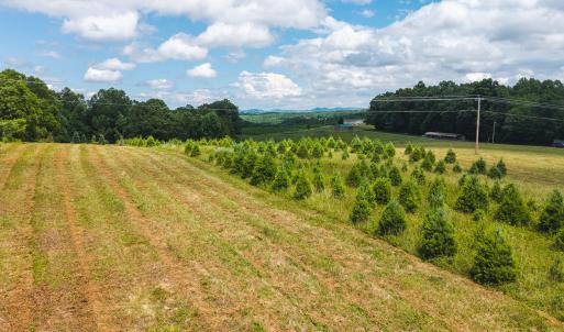 DJI_20250618142712_0451_D