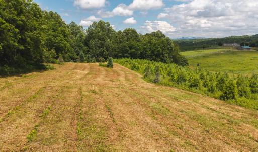 DJI_20250618142729_0453_D