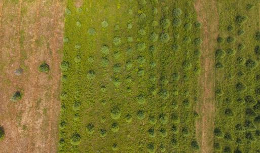 DJI_20250618142903_0461_D