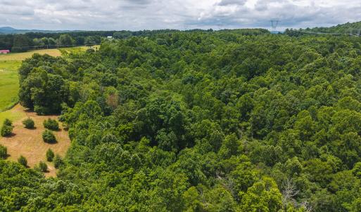 DJI_20250618132332_0396_D