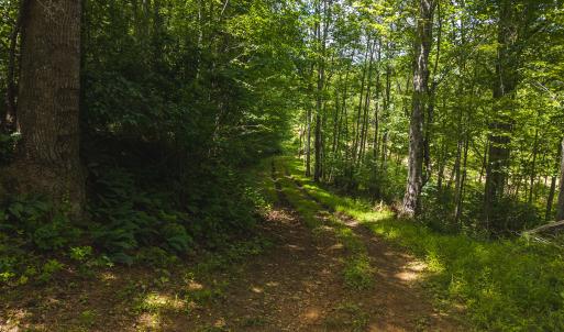 DJI_20250618132432_0397_D