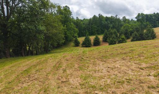 DJI_20250618132556_0401_D