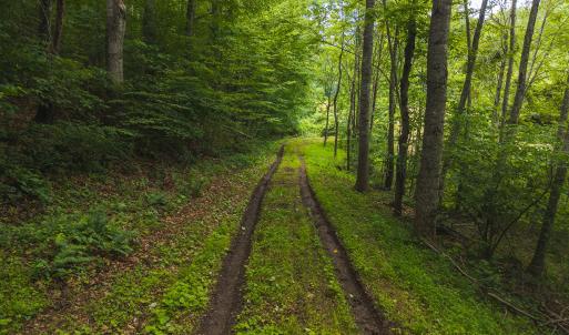 DJI_20250618132819_0406_D