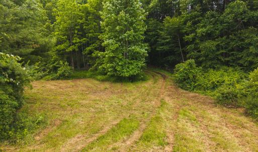 DJI_20250618133535_0423_D