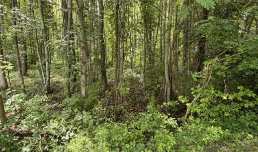 Photo #1 of OVERTON DR, BUMPASS, VA 1.1 acres