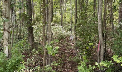 Photo #5 of OVERTON DR, BUMPASS, VA 1.1 acres