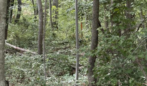 Photo #3 of OVERTON DR, BUMPASS, VA 1.1 acres