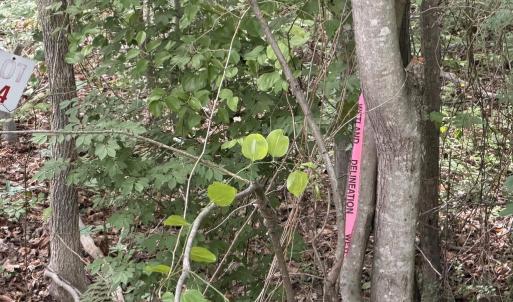 Photo #2 of OVERTON DR, BUMPASS, VA 1.1 acres