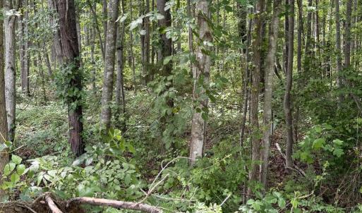 Photo #4 of OVERTON DR, BUMPASS, VA 1.1 acres