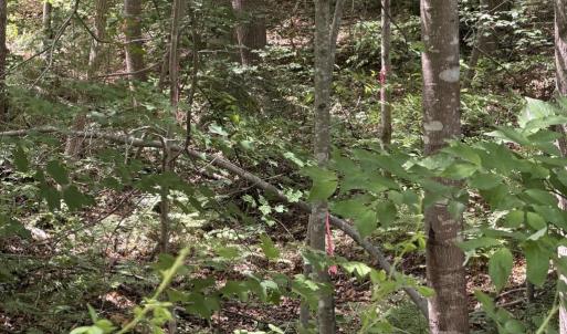 Photo #6 of OVERTON DR, BUMPASS, VA 1.1 acres