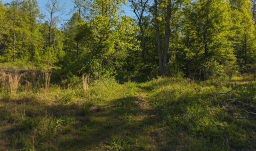 DJI_20250508093216_0664_D