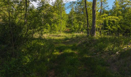 DJI_20250508093242_0666_D