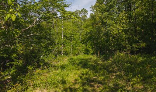 DJI_20250508093353_0669_D