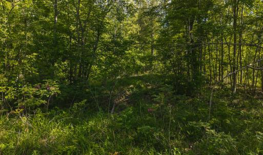 DJI_20250508093436_0672_D