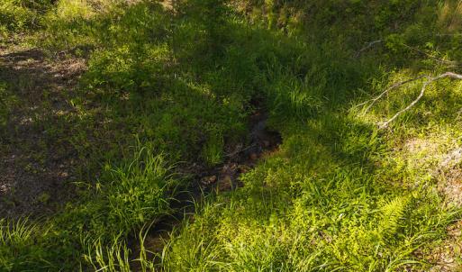 DJI_20250508093609_0676_D