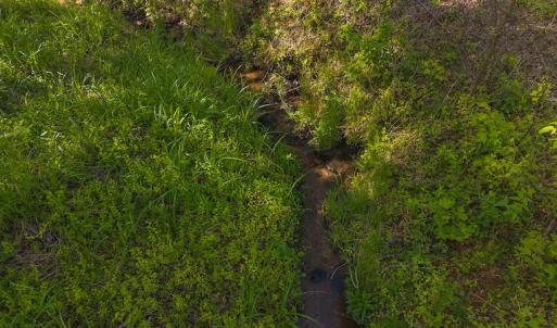DJI_20250508093621_0677_D