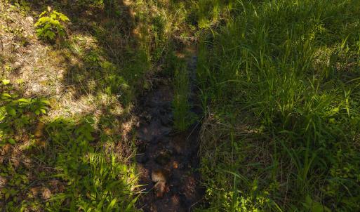DJI_20250508093645_0678_D