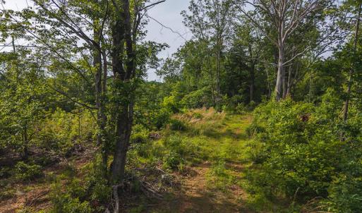DJI_20250524172935_0226_D copy