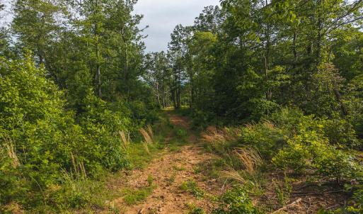 DJI_20250524174111_0235_D copy