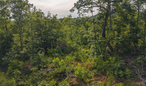 DJI_20250524174152_0237_D