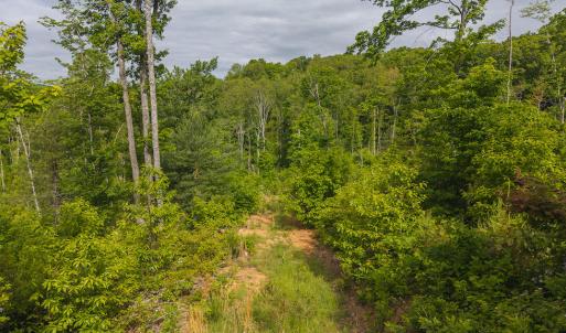 DJI_20250508094833_0681_D