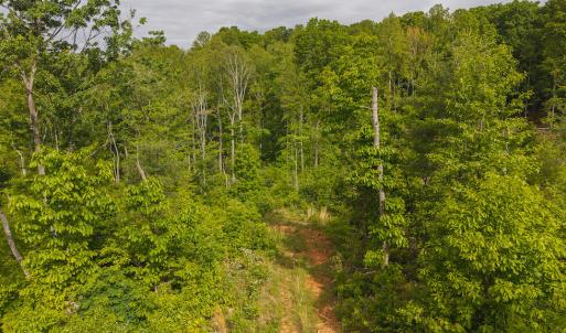 DJI_20250508094916_0683_D