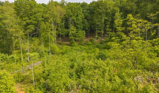 DJI_20250508094940_0684_D