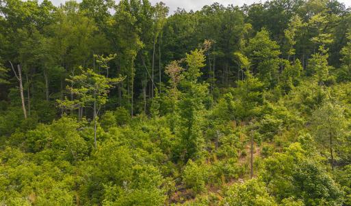 DJI_20250508095006_0686_D