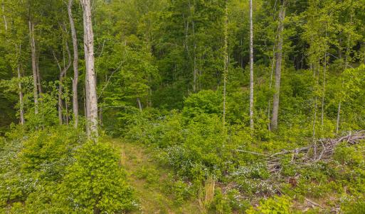 DJI_20250508095108_0689_D