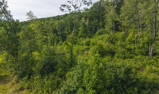 DJI_20250524174743_0250_D