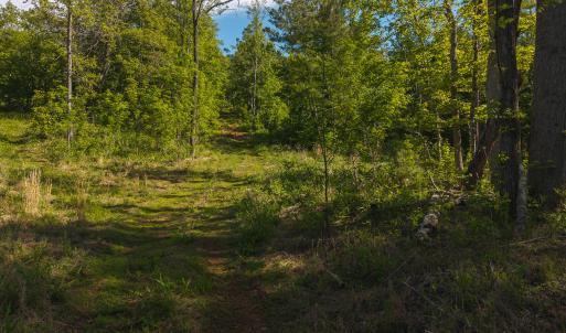 DJI_20250508093303_0667_D