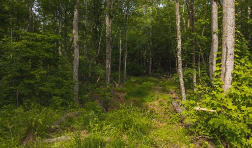 DJI_20250524172021_0209_D
