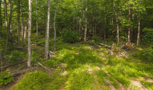 DJI_20250524172146_0213_D