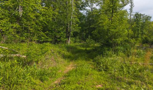DJI_20250524172303_0217_D