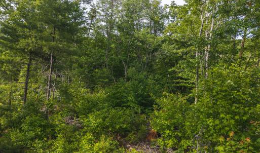 DJI_20250524174210_0238_D