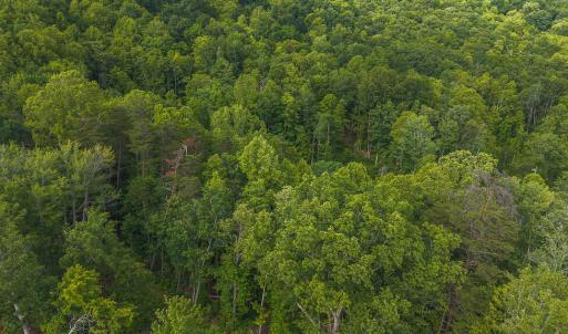 DJI_20250524174403_0243_D