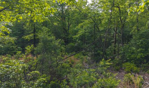 DJI_20250524180133_0266_D