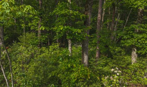 DJI_20250524180138_0267_D