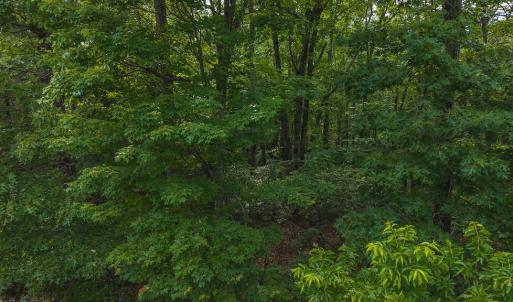 DJI_20250524180825_0280_D