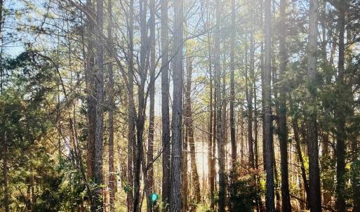 Lot 5 Falcon Ridge Dr - Lake