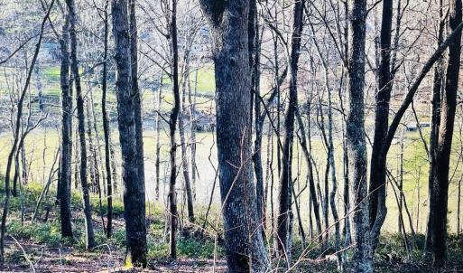 Lot 5 Lake View
