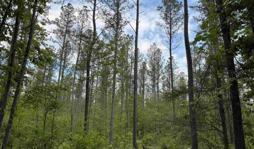 Photo #2 of WEST RIVER ROAD (TRACT: JR SADIE FLANAGAN-1), FORK UNION, VA 99.0 acres