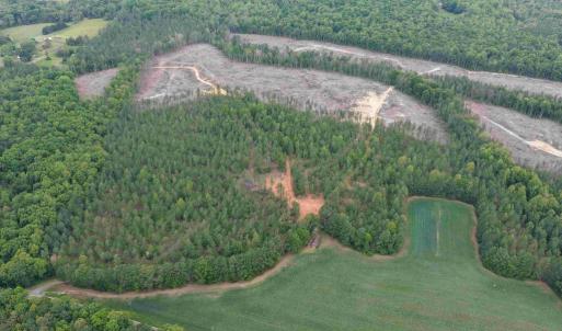 Photo #4 of WEST RIVER ROAD (TRACT: JR SADIE FLANAGAN-1), FORK UNION, VA 99.0 acres