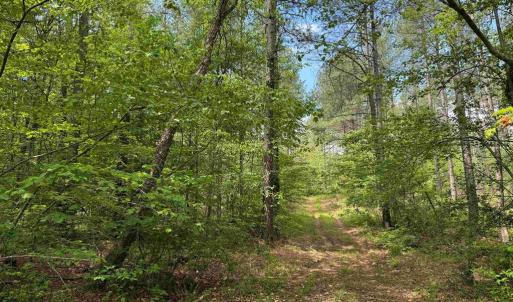 Photo #7 of WEST RIVER ROAD (TRACT: JR SADIE FLANAGAN-1), FORK UNION, VA 99.0 acres