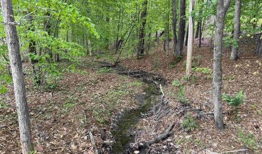 Photo #8 of WEST RIVER ROAD (TRACT: JR SADIE FLANAGAN-1), FORK UNION, VA 99.0 acres