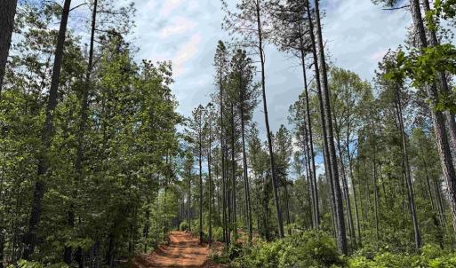 Photo #11 of WEST RIVER ROAD (TRACT: JR SADIE FLANAGAN-1), FORK UNION, VA 99.0 acres