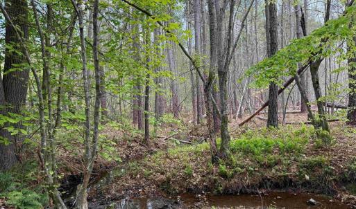 Photo #12 of WEST RIVER ROAD (TRACT: JR SADIE FLANAGAN-1), FORK UNION, VA 99.0 acres