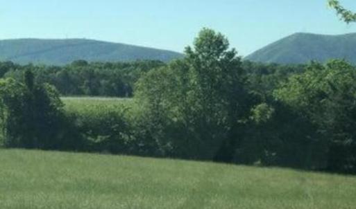 Screenshot 2025-07-07 at 9.17.21PM